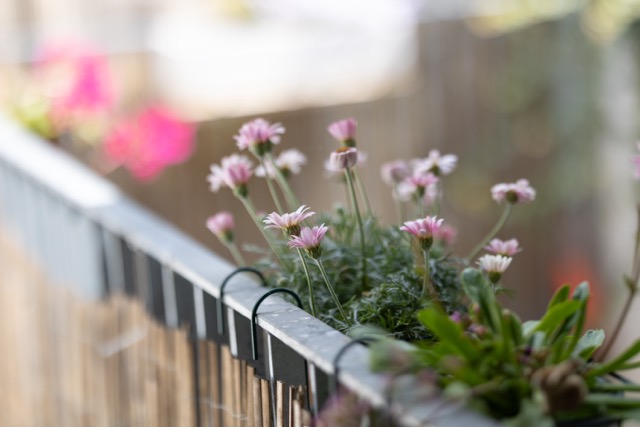 Garten bei Chez Muna & Lucien - Bed and Breakfast